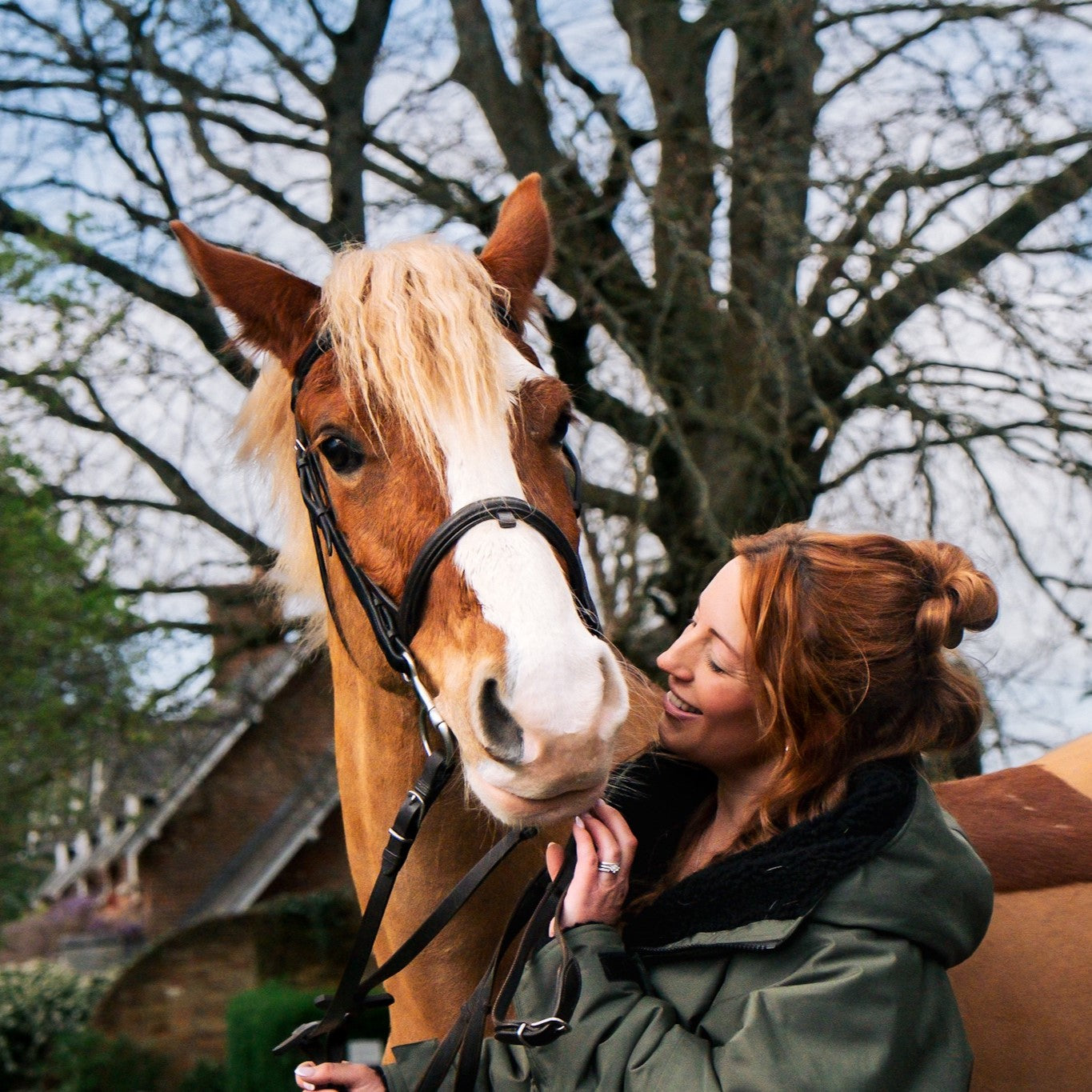 Equidry and Its Competitors: A Comparative Look at Premium Equestrian ...